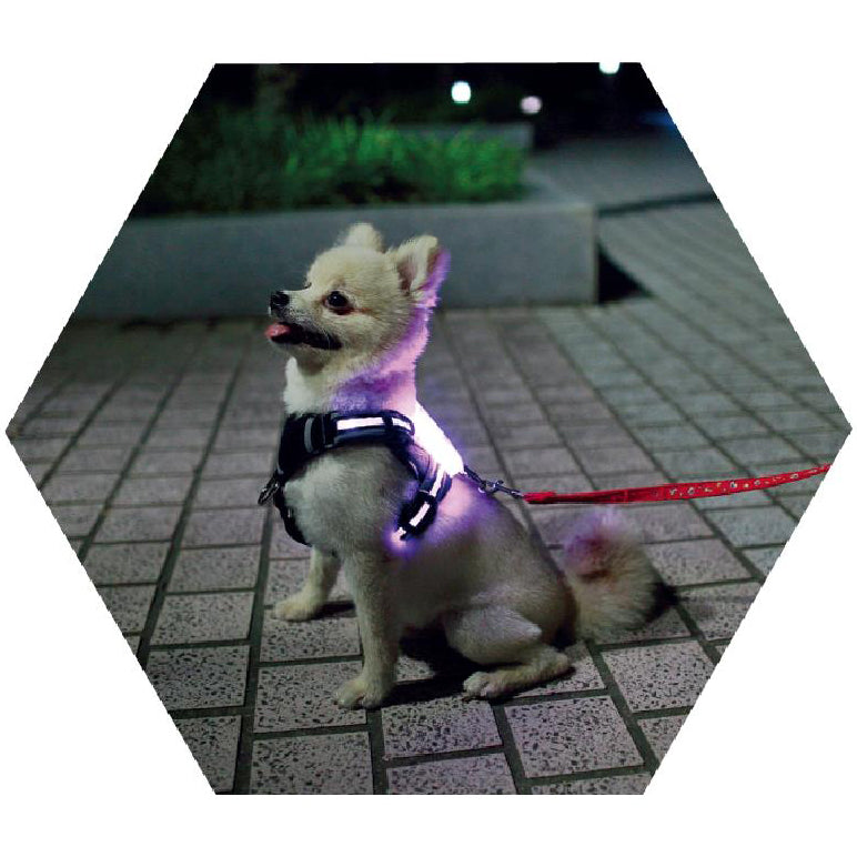 LED Hundegeschirr für alle Hundegrößen